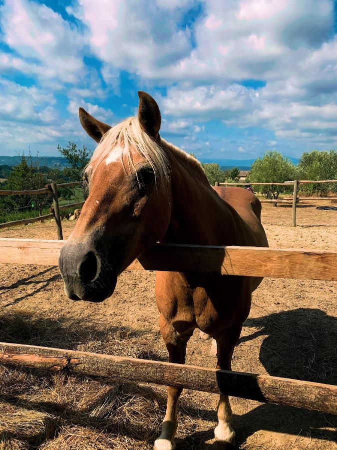 Relais Tenuta Gentili San Liberato Eksteriør bilde