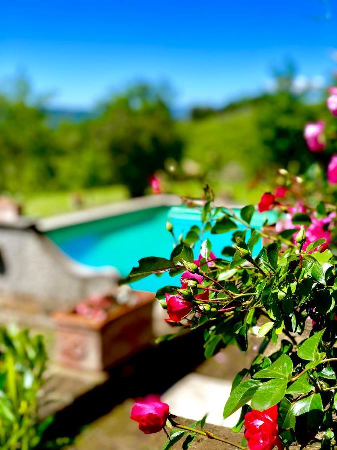 Relais Tenuta Gentili San Liberato Eksteriør bilde